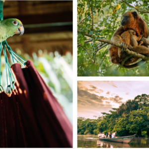 CORTO MALTES – NATIVOS 04 DÍAS – 03 NOCHES