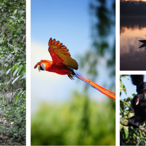 ECO AVENTURA 04 DÍAS – 03 NOCHES