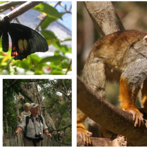 IQUITOS INOLVIDABLE 04 DÍAS – 03 NOCHES